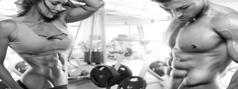 Muscle Building