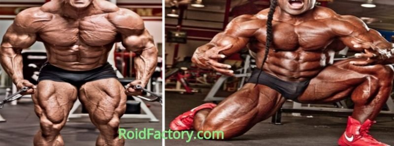 anabolic steroids
