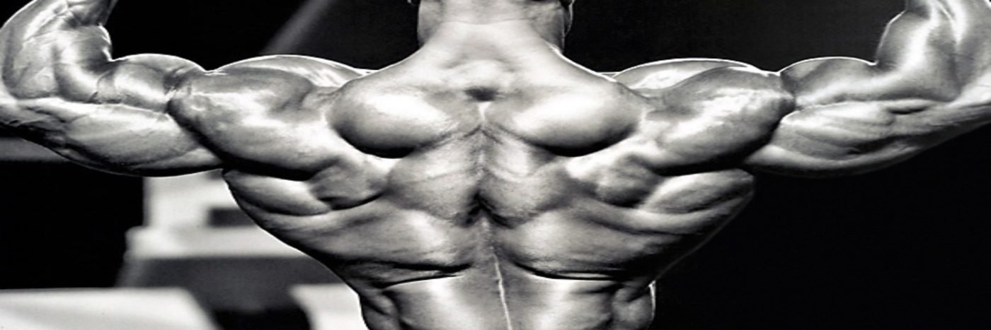 Dianabol Cycle