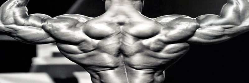 Dianabol Cycle