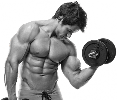Bulking Cycle