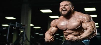 Clenbuterol Cycle