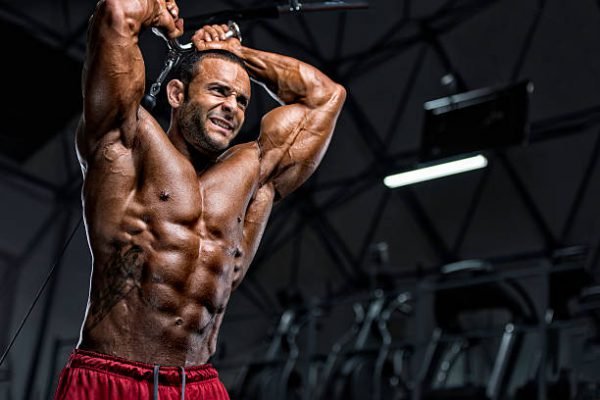 Body Builder During his Workout at the Gym